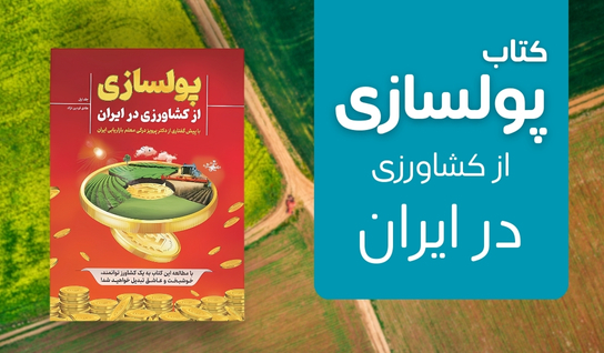 کتاب پولسازی از کشاورزی در ایران